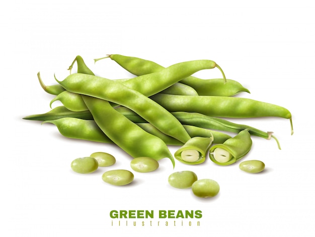 新鮮な緑の有機豆をカットし、全体のポッドをクローズアップ現実的な画像健康食品広告ベクトル図