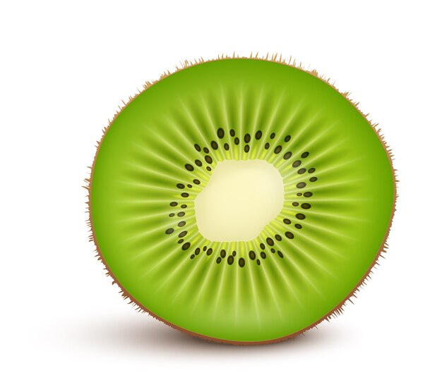 Fresh kiwi fruit slice isolated