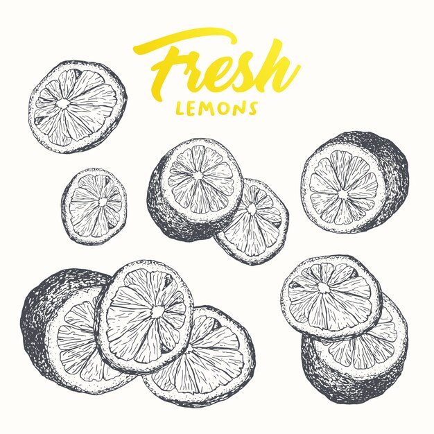 Fresh lemons banner design