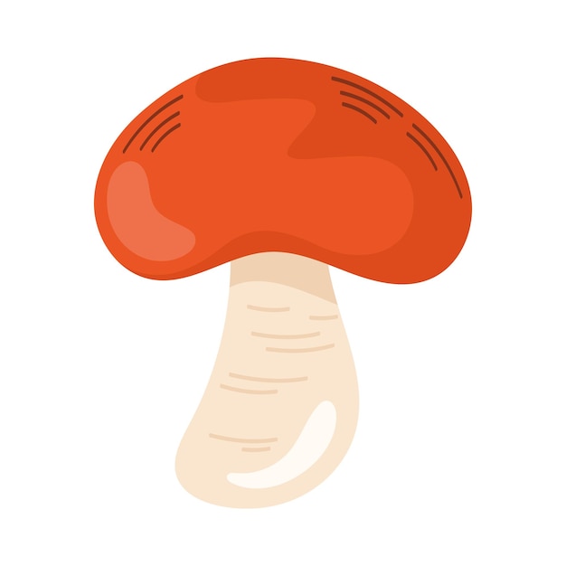 fresh mushroom vegetable