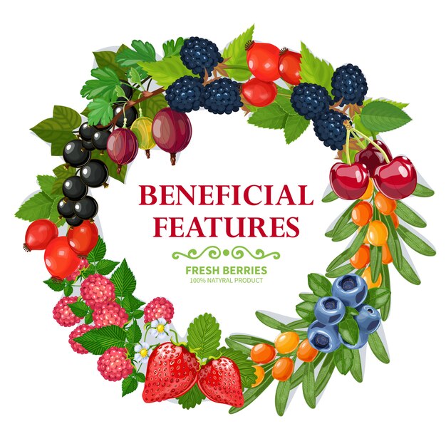 Fresh Natural Berries Wreath Decorative Frame 