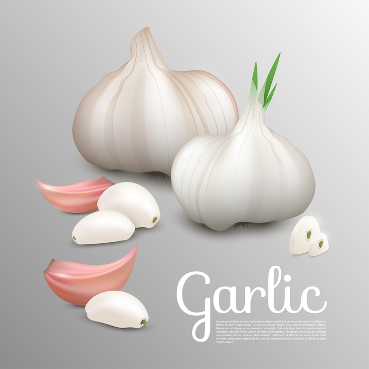 Free Vector fresh natural garlic concept