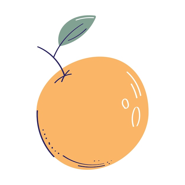 Free vector fresh orange citrus fruit