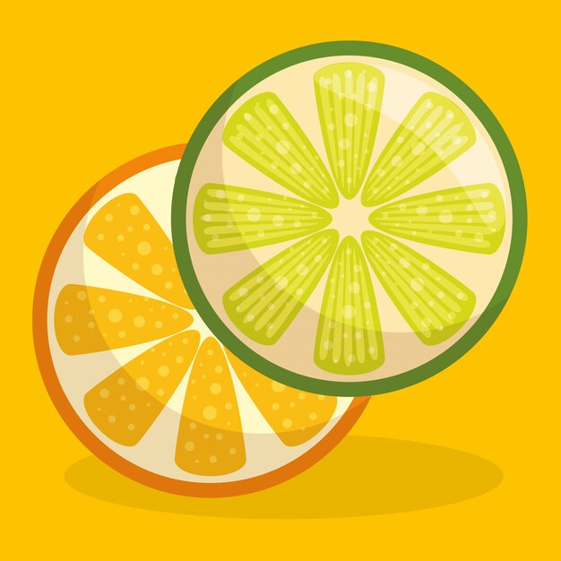 신선한 오렌지와 레몬 과일 건강 식품