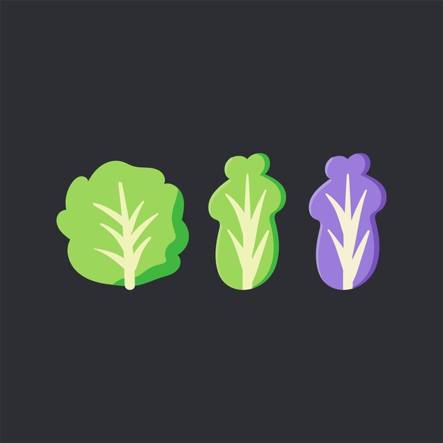 Fresh organic lettuce food vector