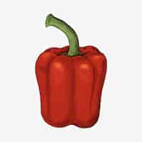 Free vector fresh organic red bell pepper vector