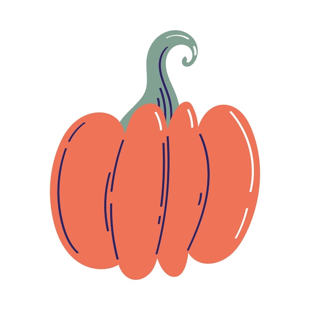 Fresh pumpkin vegetable