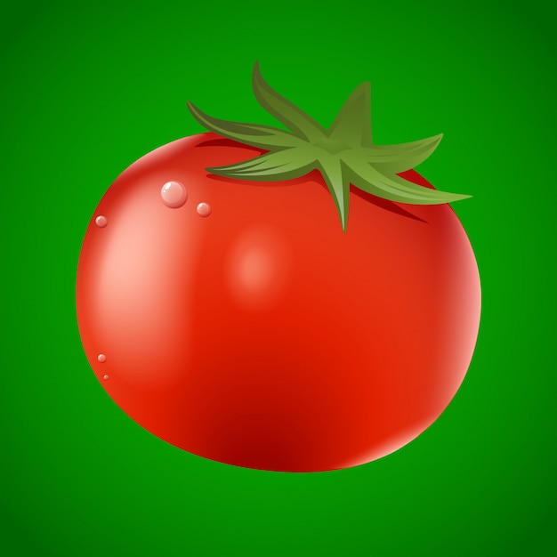 Fresh red tomato on green background