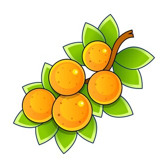 オレンジ果実のイラスト 無料のベクター オレンジ果実のイラスト 無料のベクター