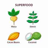 Free vector fresh super food pack