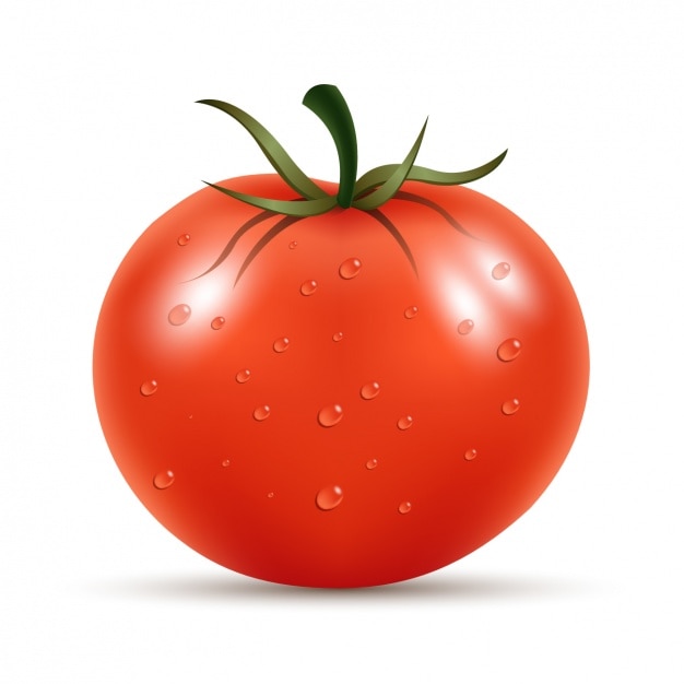 Free vector fresh tomato