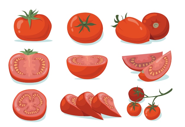 Free vector fresh tomatoes set