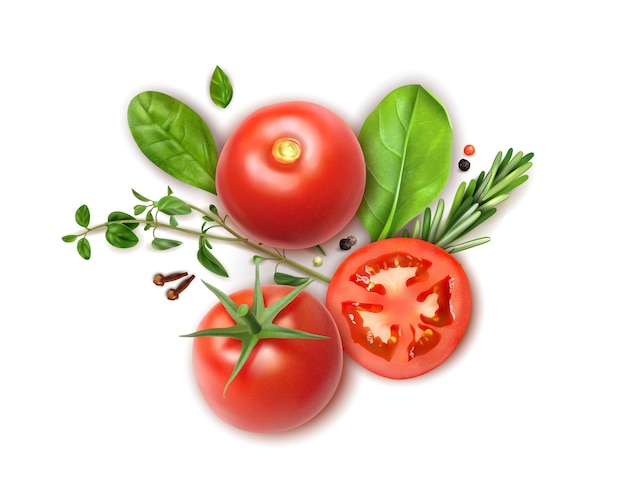 Fresh tomatoes whole and slices realistic composition with basil oregano rosemary herbs aromatic clove spice