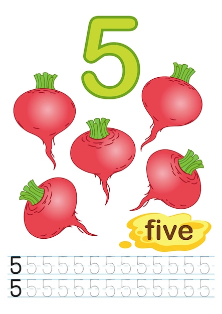premium vector fresh vegetables beetroot worksheet for kindergarten and preschool