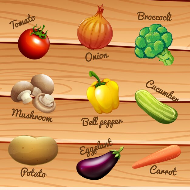 Fresh vegetables with names