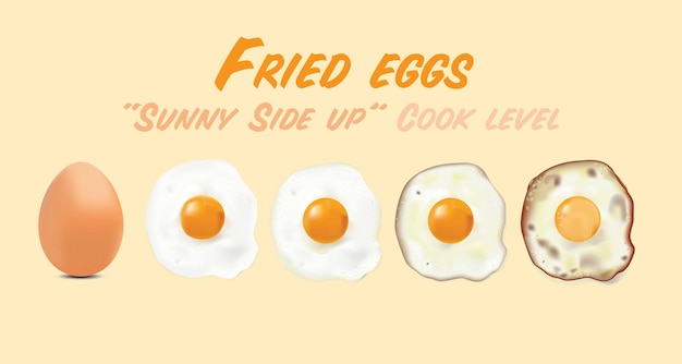 Fried eggs with raw egg picture in basic style level of doneness set vector illustration