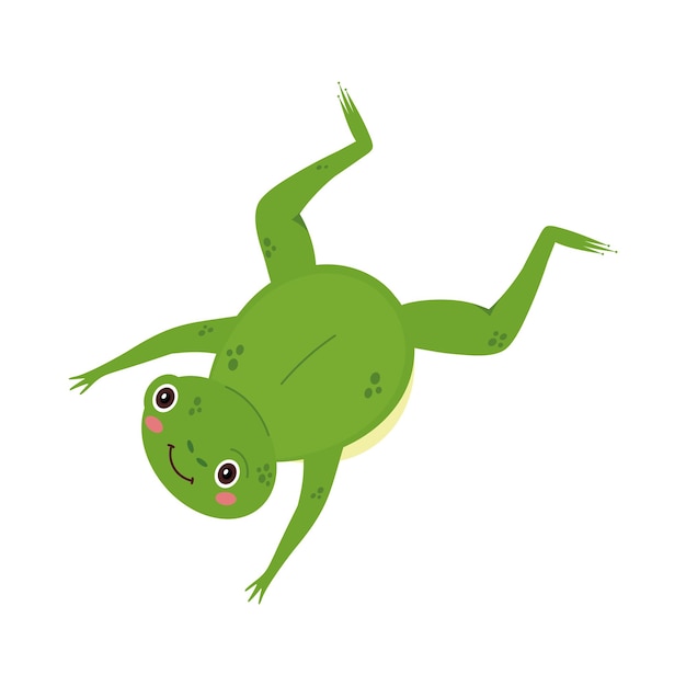 Free vector frog cute animal