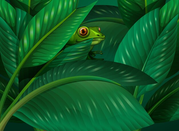 Лягушка спрятана на фоне тропических листьев