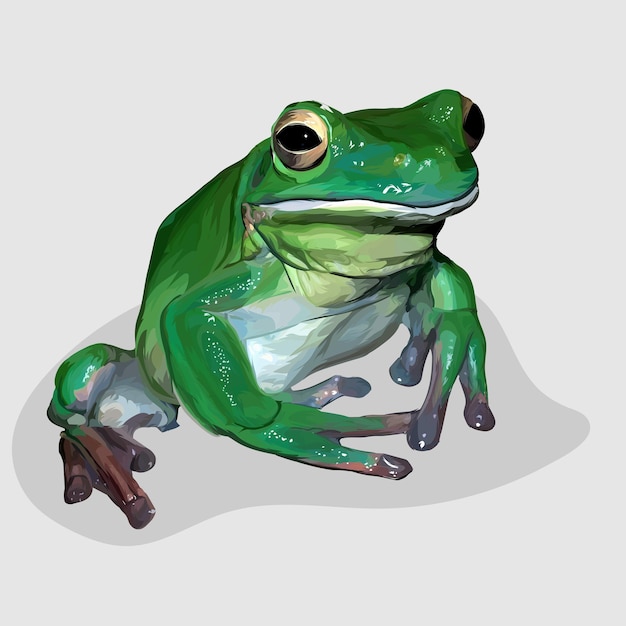 カエルリアルな手描きイラストやベクトル プレミアムベクター