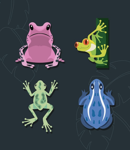 Frogs amphibians animals