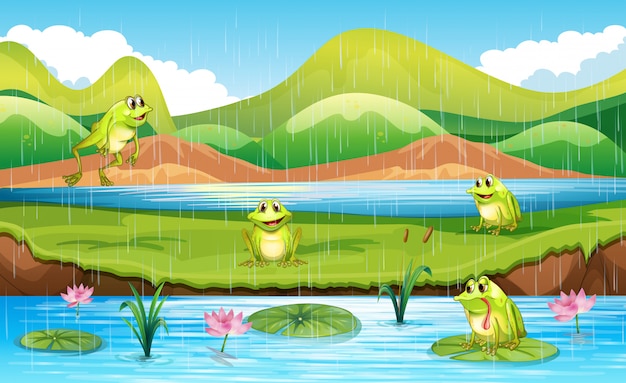 Free vector frogs with pond scene