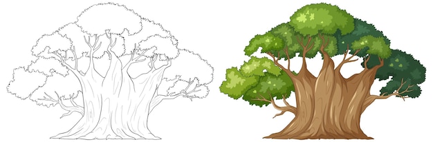 From sketch to life a trees journey