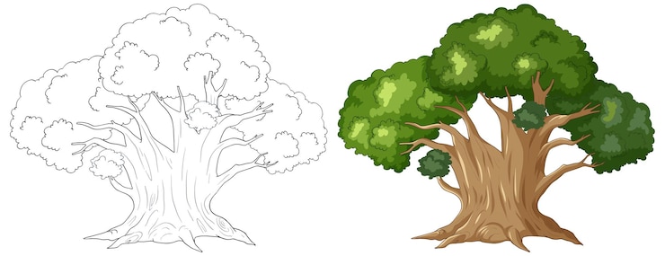 Free Vector from sketch to reality majestic tree