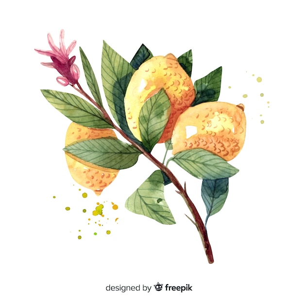 Fruit background with watercolor lemon