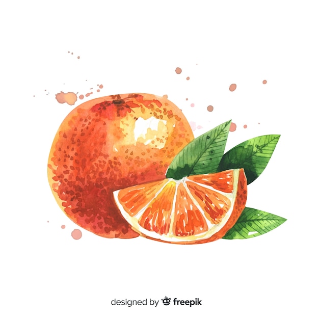 Fruit background with watercolor orange