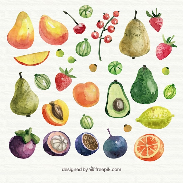 Fruit collection in watercolor style