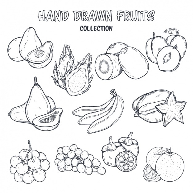 Free Vector fruit coloring design