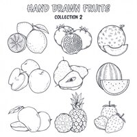 Fruit coloring design