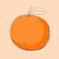 Free vector fruit doodle orange logo  hand drawn