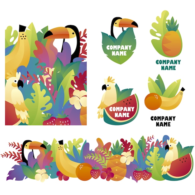 Fruit elements collection