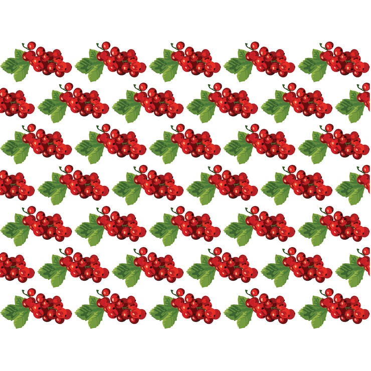 Free Vector fruit pattern design