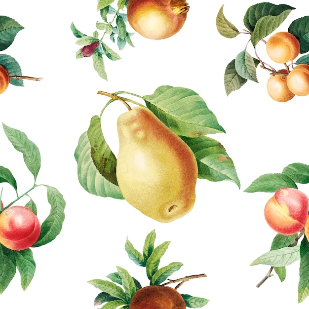 Fruit patterned background