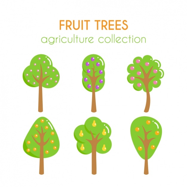 Fruit trees collection