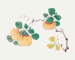 Free vector fruit vector botanical art print, remixed from artworks by hu zhengyan