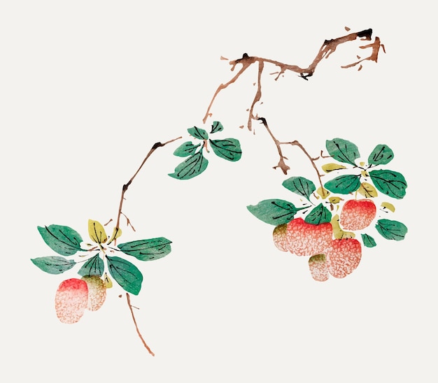 Free vector fruit vector botanical art print, remixed from artworks by hu zhengyan
