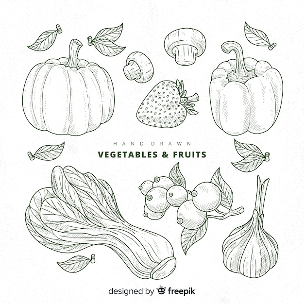 Бесплатное векторное изображение Сбор фруктов и овощей