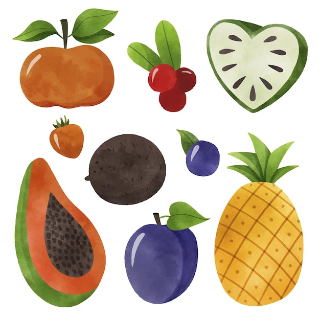 Free vector fruits collection concept