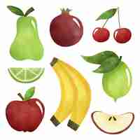 Free vector fruits collection