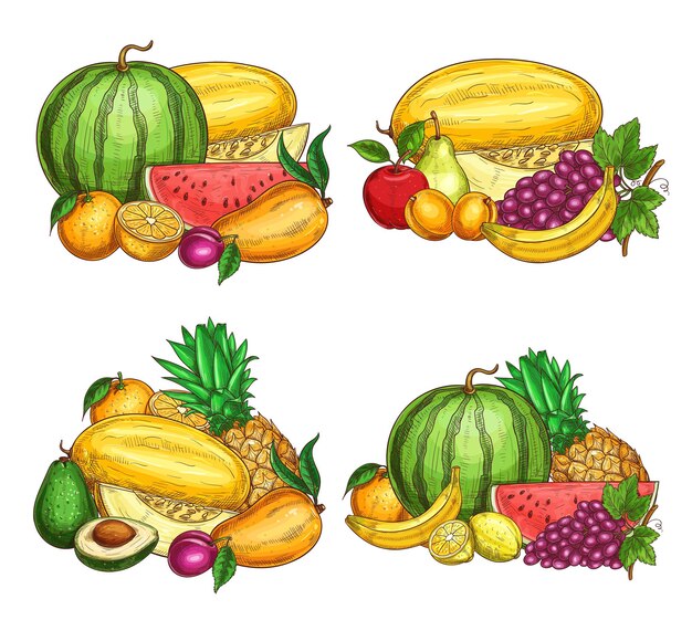 ベクトルパパイヤ手描きの芸術かわいいイラスト プレミアムベクター