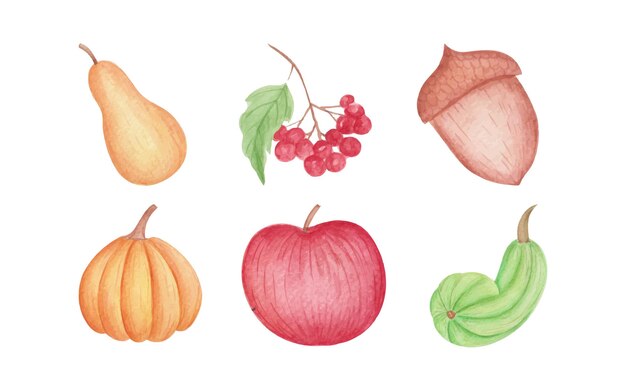 Fruits and vegetables Set hand drawn watercolor