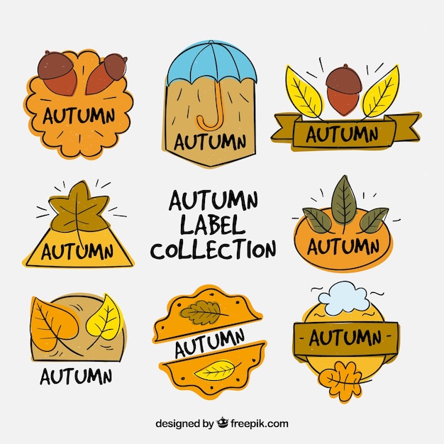 手描きの秋のラベルの楽しいコレクション