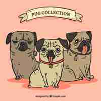 Free vector fun pack of hand drawn pugs