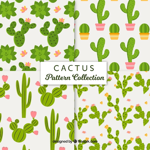 Fun pack of lovely cactus patterns