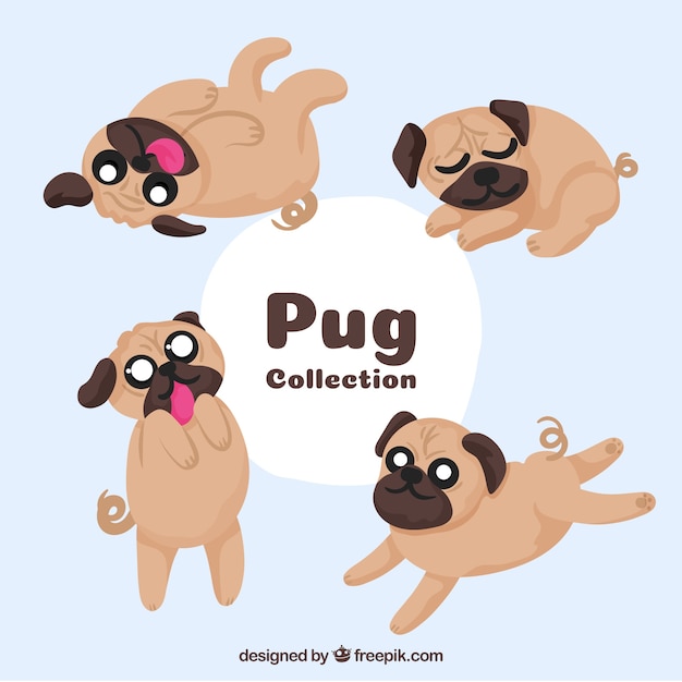 Free vector fun set of cute pugs