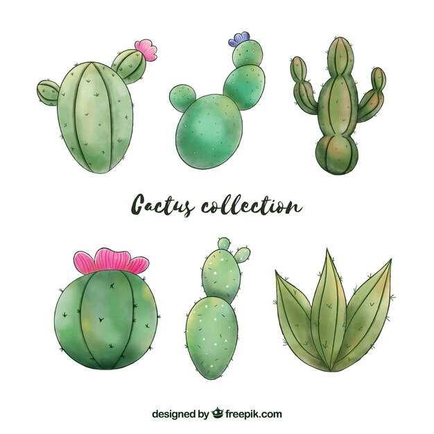 Fun set of watercolor cactus