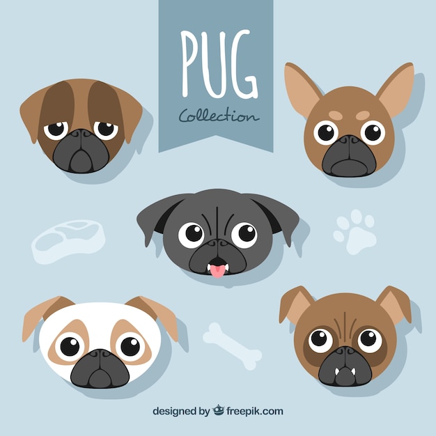 Free vector fun variety of pug faces